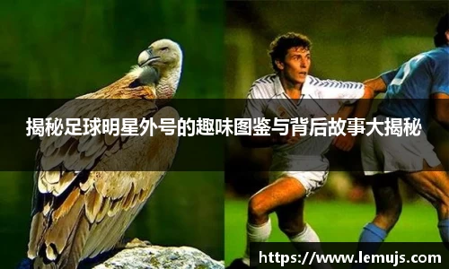 揭秘足球明星外号的趣味图鉴与背后故事大揭秘